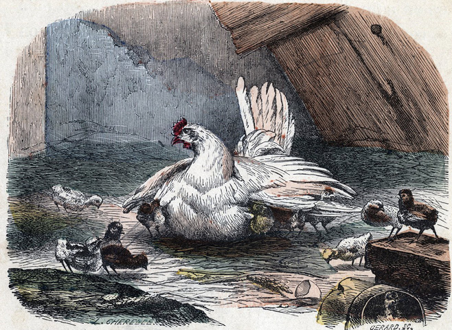 Libre Croyante n°4 : illustration p. 4